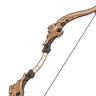 Slingshot