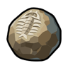 Precious Fossilized Core